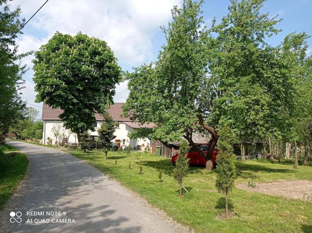 Roze I Jablonie Agroturystyka Gryfów Śląski Extérieur photo
