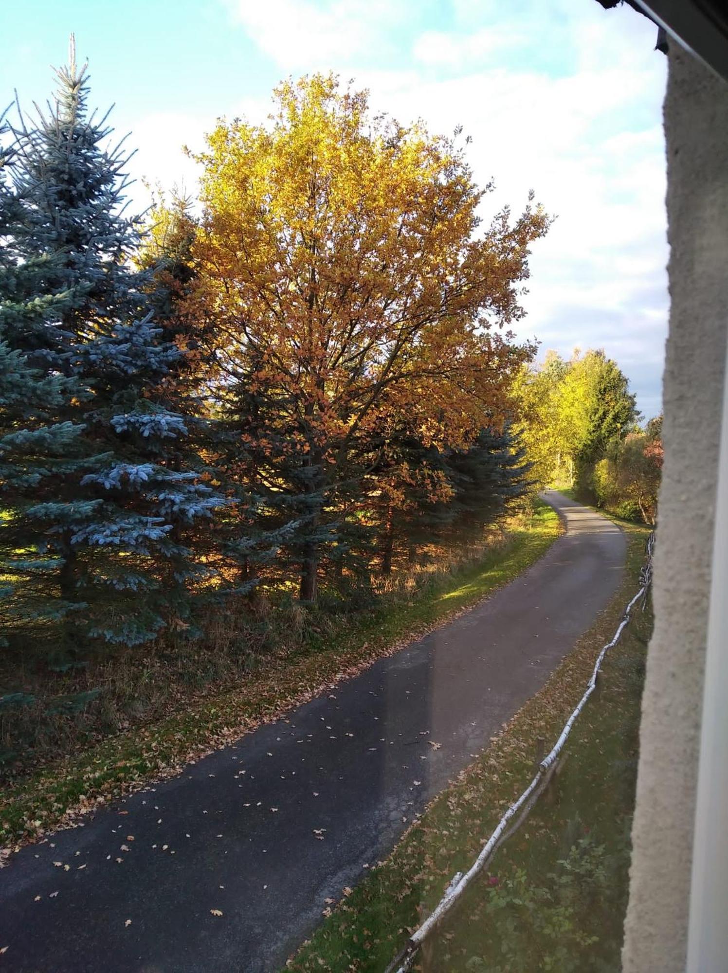 Roze I Jablonie Agroturystyka Gryfów Śląski Extérieur photo