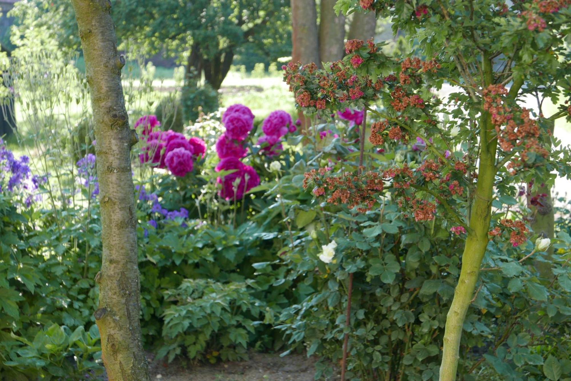 Roze I Jablonie Agroturystyka Gryfów Śląski Extérieur photo