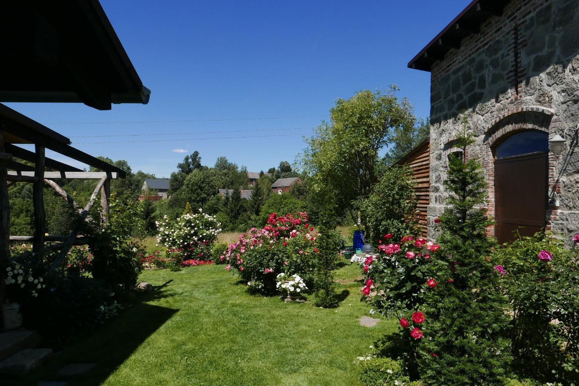 Roze I Jablonie Agroturystyka Gryfów Śląski Extérieur photo