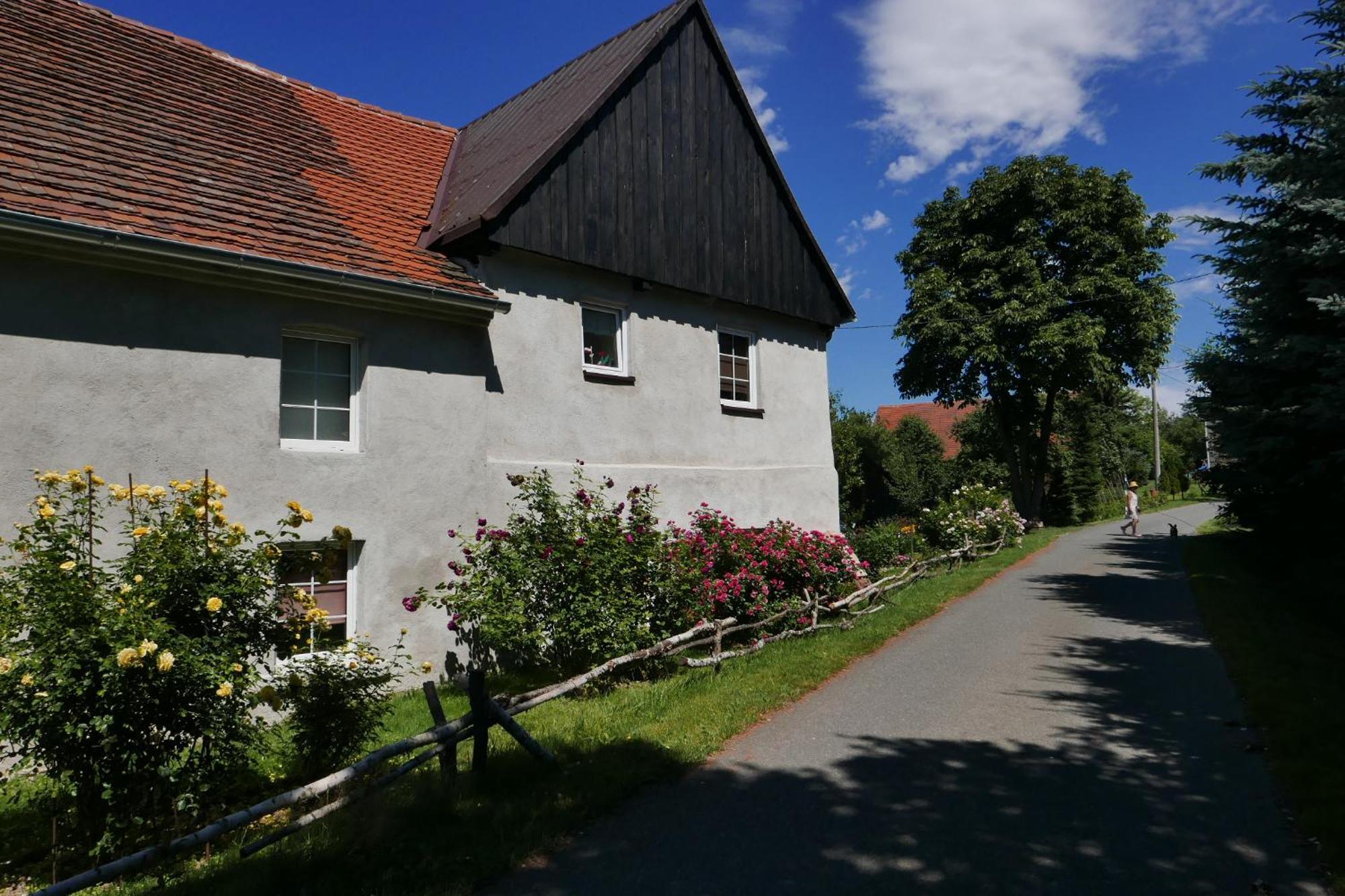 Roze I Jablonie Agroturystyka Gryfów Śląski Extérieur photo