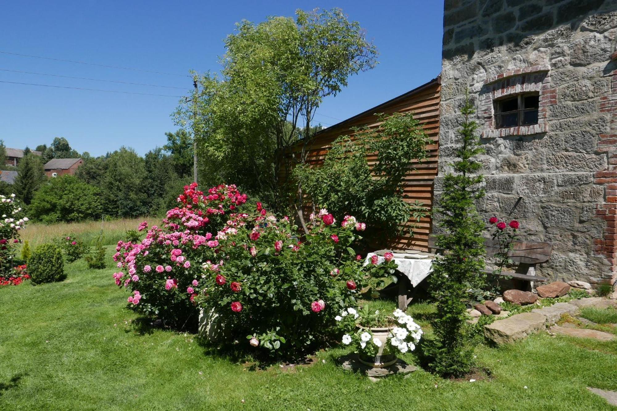Roze I Jablonie Agroturystyka Gryfów Śląski Extérieur photo