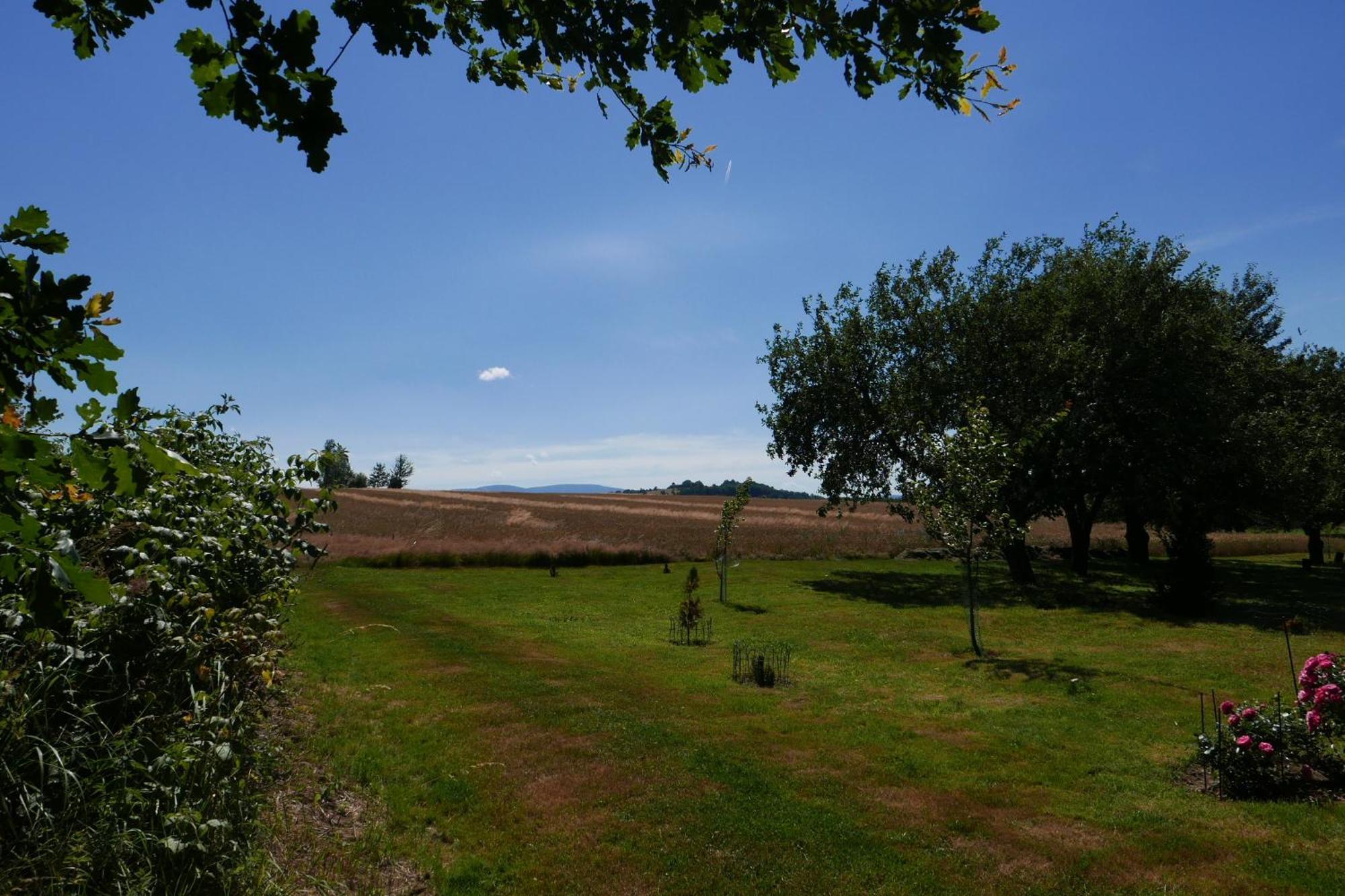 Roze I Jablonie Agroturystyka Gryfów Śląski Extérieur photo